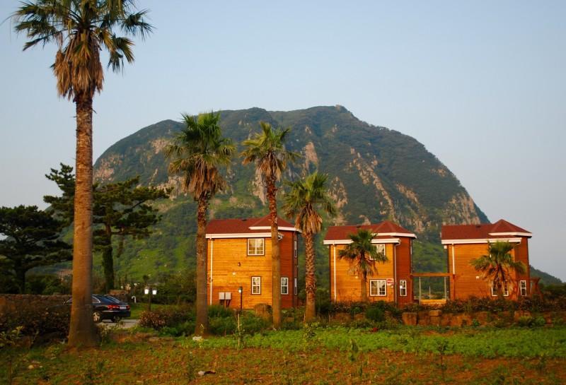 Sweetsalt Villa Seogwipo Exterior photo